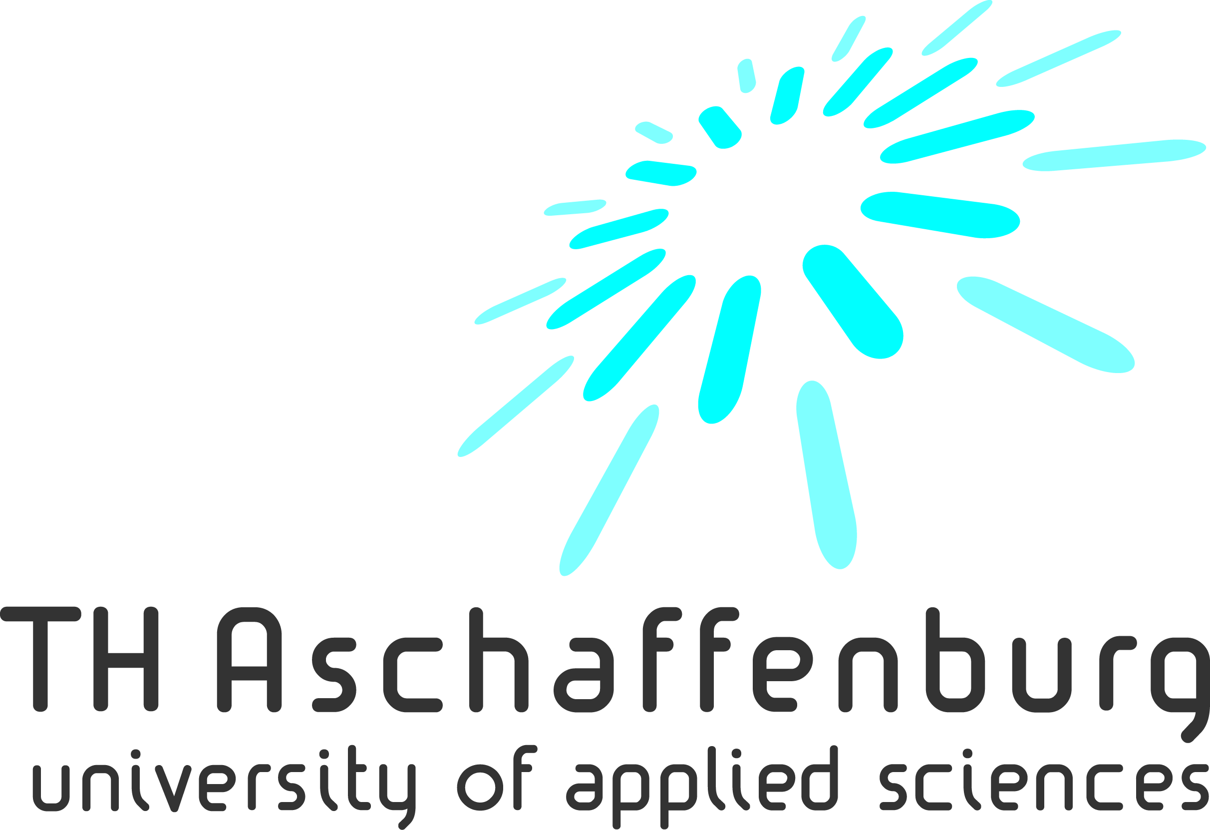 Logo Technische Hochschule Aschaffenburg